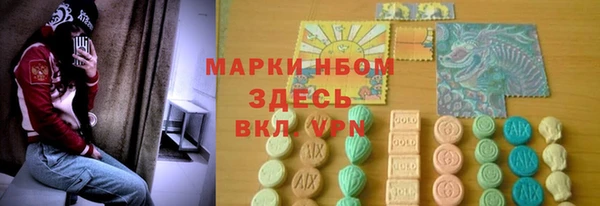 хмурый Белокуриха