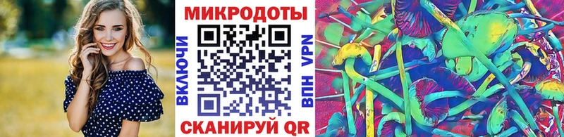 MEGA ссылки  darknet официальный сайт  Галлюциногенные грибы MAGIC MUSHROOMS  Армавир 